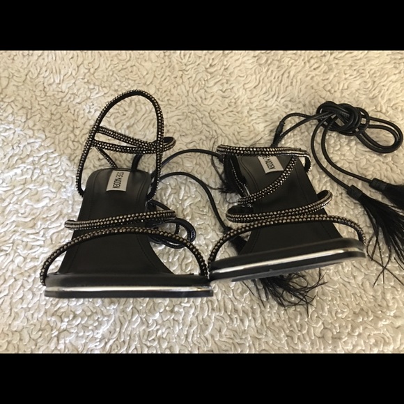 Steve Madden - Picture 7 of 11